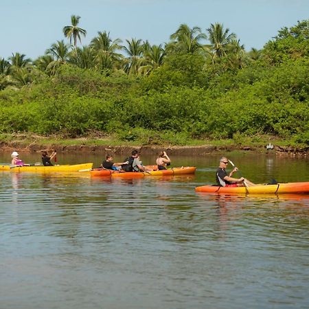 The Resort at Majahua Palms Troncones Bagian luar foto