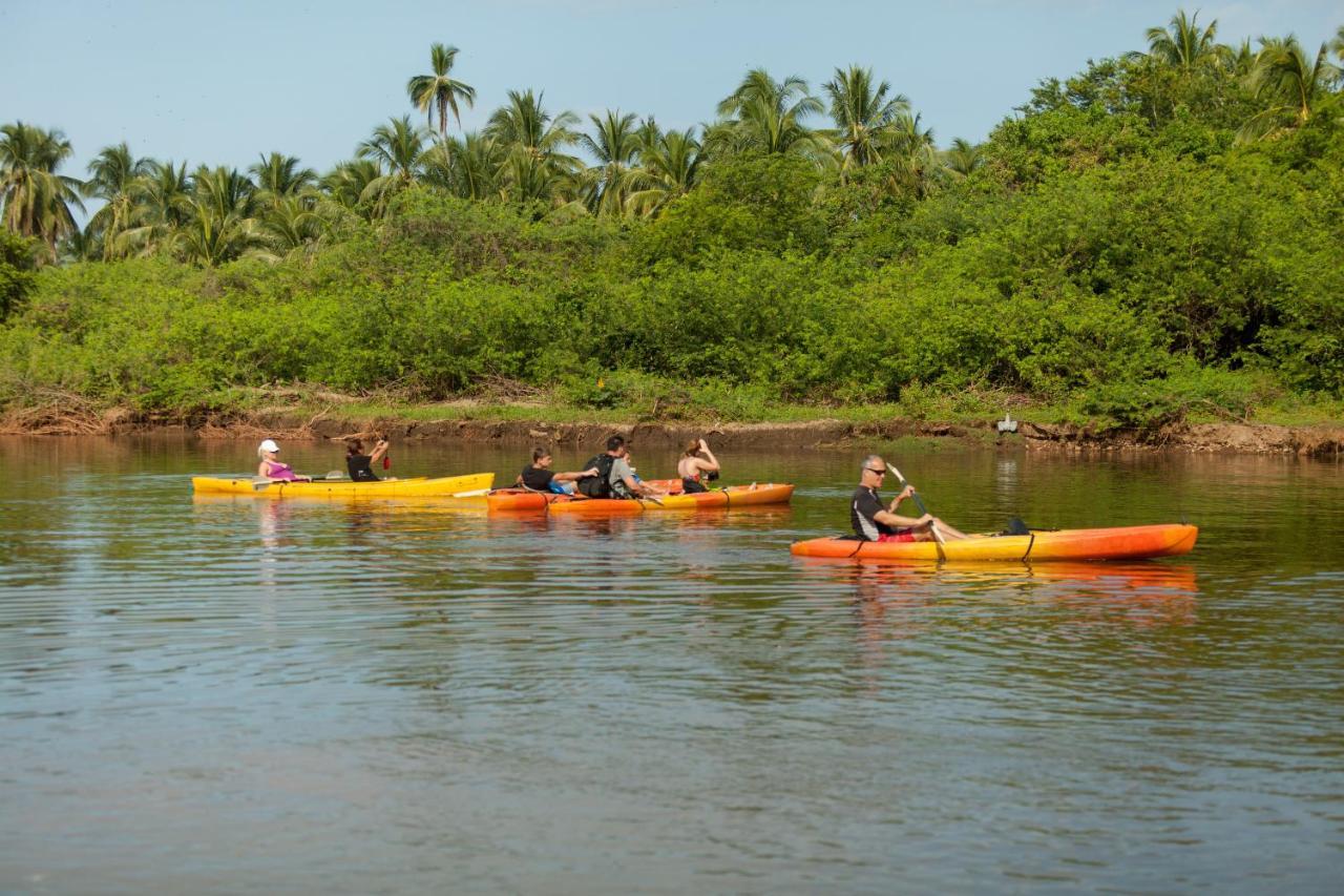 The Resort at Majahua Palms Troncones Bagian luar foto